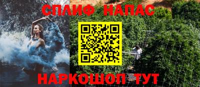 кокс Можга