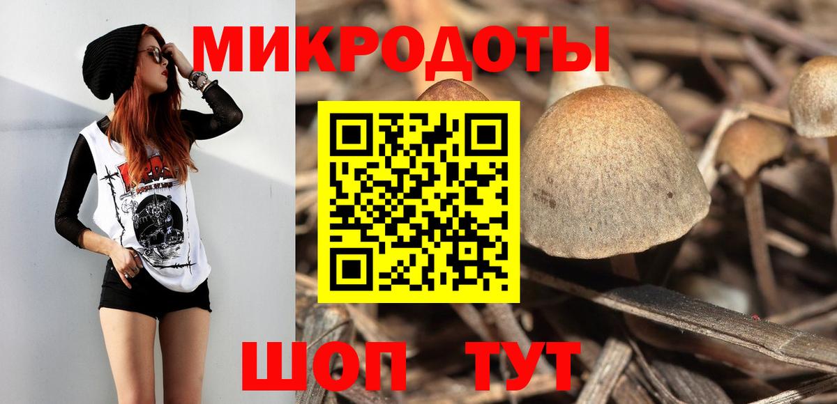 Галлюциногенные грибы мицелий  Галлюциногенные грибы MAGIC MUSHROOMS  Вход с VPN  Тулун 