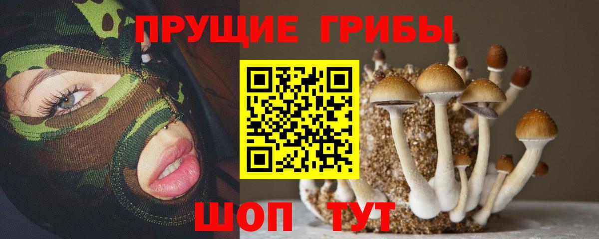 Псилоцибиновые грибы мицелий Тулун